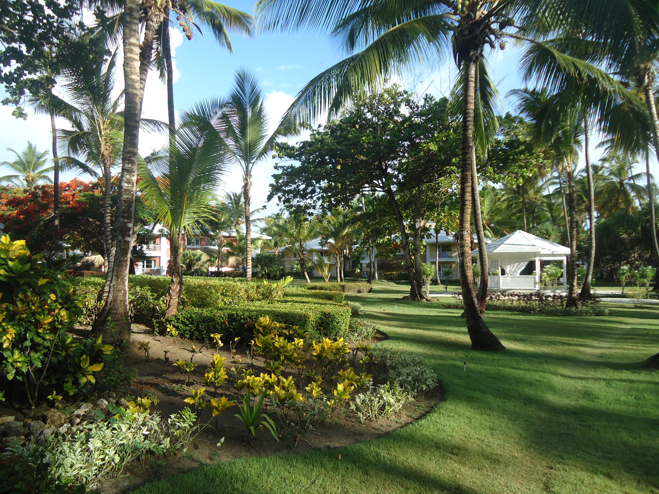 Manicured gardens and palm trees at the Grand Palladium resort in Punta Cana.