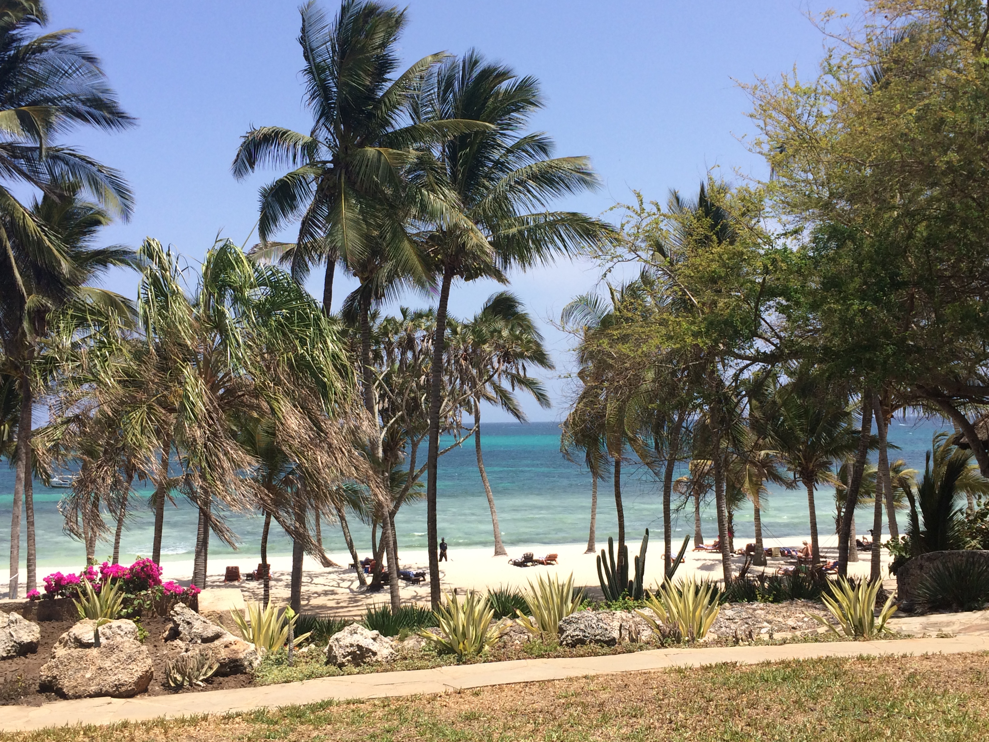 A vibrant beach scene in Diani Beach, Kenya.