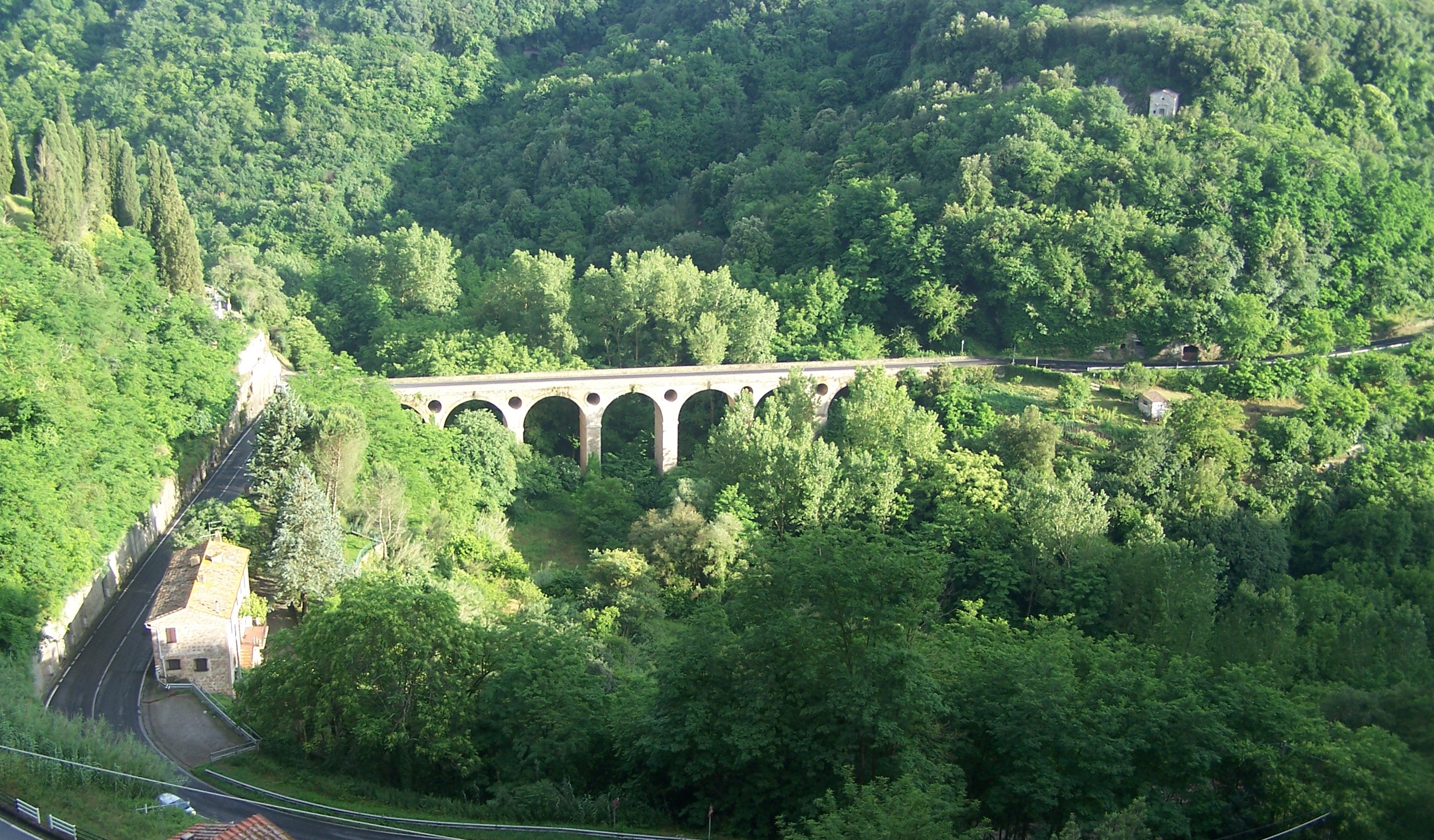 Viaduct over a forested valley